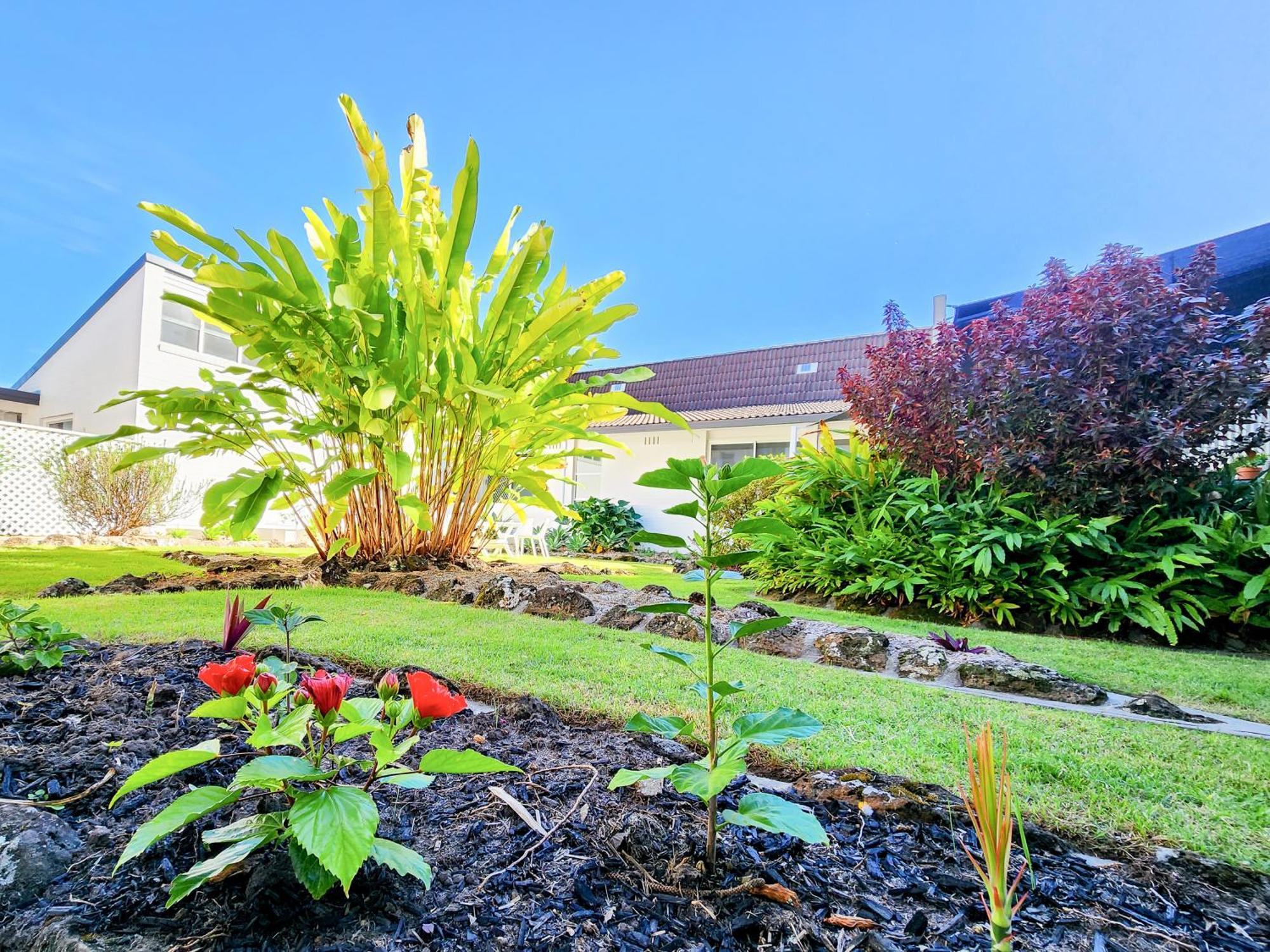 The Stella Motel Yamba Exterior foto